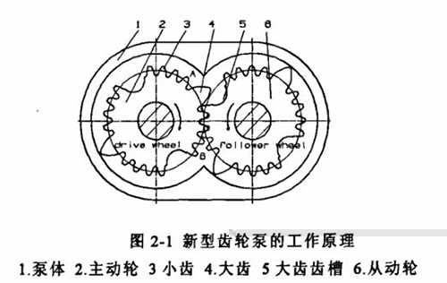 齿轮泵